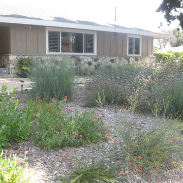 Earth Friendly Santa Ana Garden