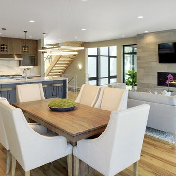 Antique Elm Flooring in an Open Concept Modern Home