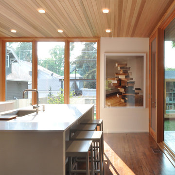 Modern Home Remodel