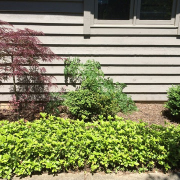 Beachwood Condominium
