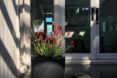 This is an example of a landscaping in Los Angeles.