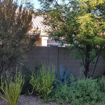 Plantings - 4 years