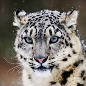 Clement Law's photo