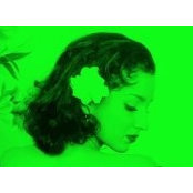 Negar Partovi's photo