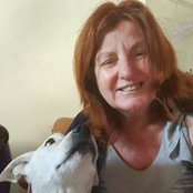 Siobhan Lynch's photo