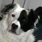 Jo Lessard's photo