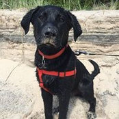 John Schuitema's photo