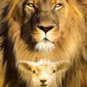 Foto von Yeshua Avinu
