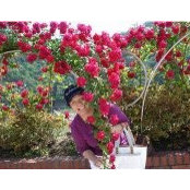 Myoung Hwa Yang's photo