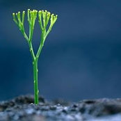 Foto von Barry Hicks