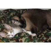 Mary Vannerson's photo