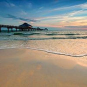 Dawn Myers's photo