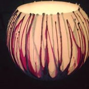 Donna Wright's photo