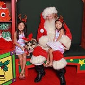 Kelly Toguchi's photo