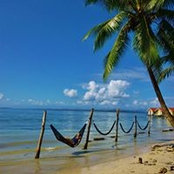Sonja Schmittmann's photo