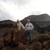 Donna Whitbeck's photo