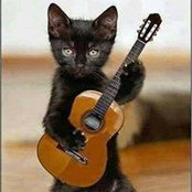 Donna Hessong's photo