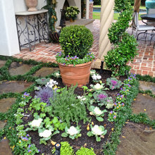 Mediterranean Revival Gardens
