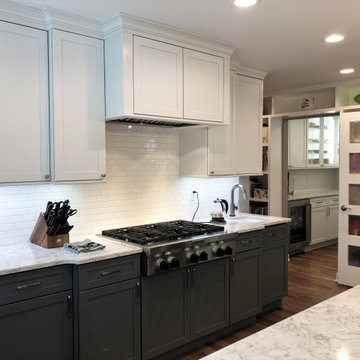 Downtown Ann Arbor Whole House Remodel