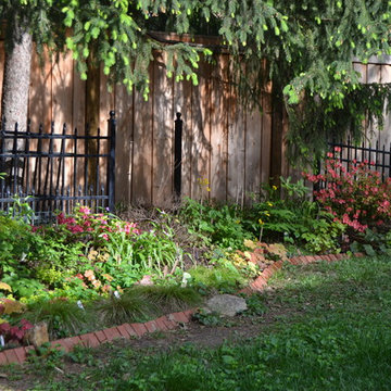 DIY Landscape - Woodland or Shade Gardening