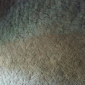 Carpet Cleaning Before & After