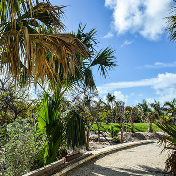 Tropical Architecture