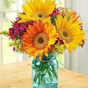 Gwenda Alexander's photo