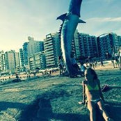 Beatriz Tostes's photo