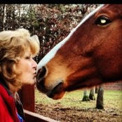 Susan Owen Mangano's photo