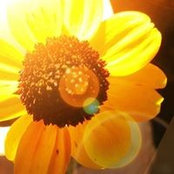 Karen DeJoy's photo