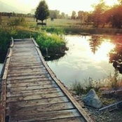 Audria N Jimmy Balcom's photo