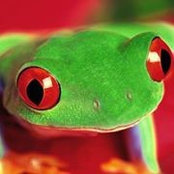 Gary Jakubowski's photo