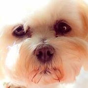 Cindy Lill's photo