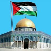 Suha Harb's photo