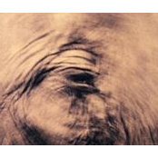 Alexandra Ionescu's photo