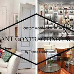 ANT Contracting Inc.