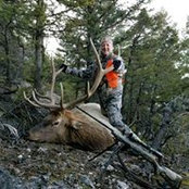 Sandi Bourgeois's photo
