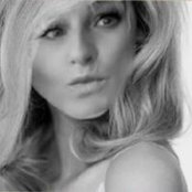 Sandy Böhm's photo