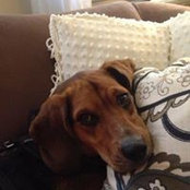 Beverly Camilli-Soltysik's photo