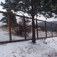 Dog Run