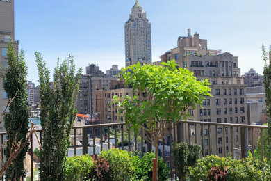 Residential Manhattan Rooftop