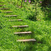 steps