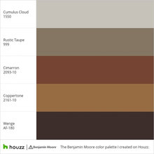 Color Scheme