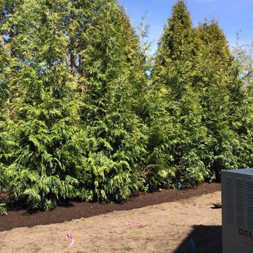 Privacy Hedge by Pool