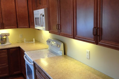 Home design - transitional home design idea in Detroit