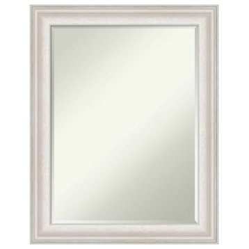 Trio White Wash Silver Petite Bevel Wall Mirror 22.5 x 28.5 in.