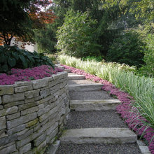Landscape Ideas