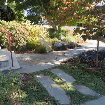 Landscape/Hardscape, Albany, CA