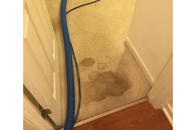 Before & After Carpet Stain Removal in Richmond, VA
