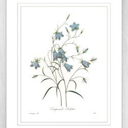 Botanicals - Framed Art Prints (BOT03) - Artwork